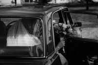 Bodas